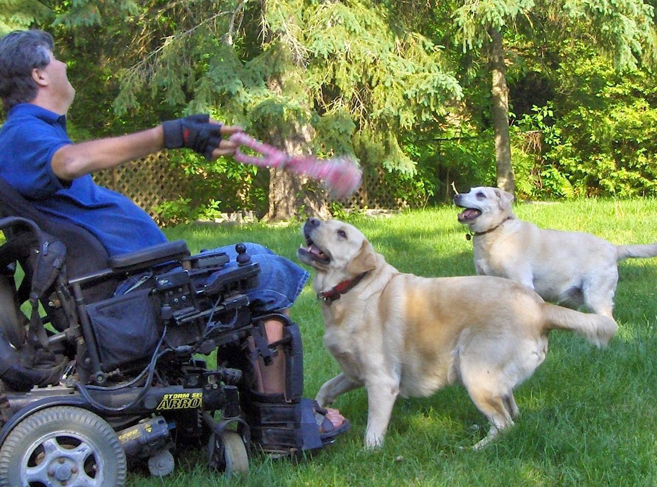 Mike Nemesvary in London